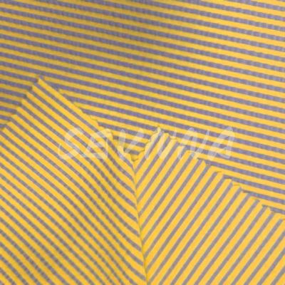Jacquard Double Warp Tissue Nylon Poly EL Miscela per estate/autunno