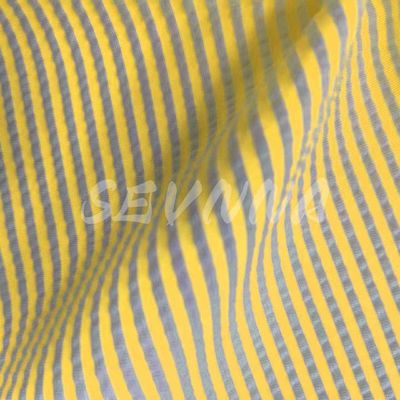 Jacquard Double Warp Tissue Nylon Poly EL Miscela per estate/autunno