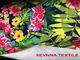 Tessuto floreale dello Swimwear di stampa di Digital del getto di inchiostro con il modello su misura