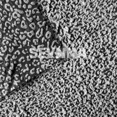 Fabbrica di nylon riciclata a strisce solide Stretta sostenibile Respirabile